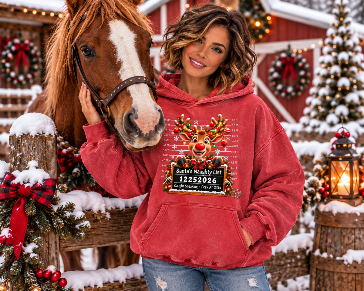 hoodie,hoodies,christmas