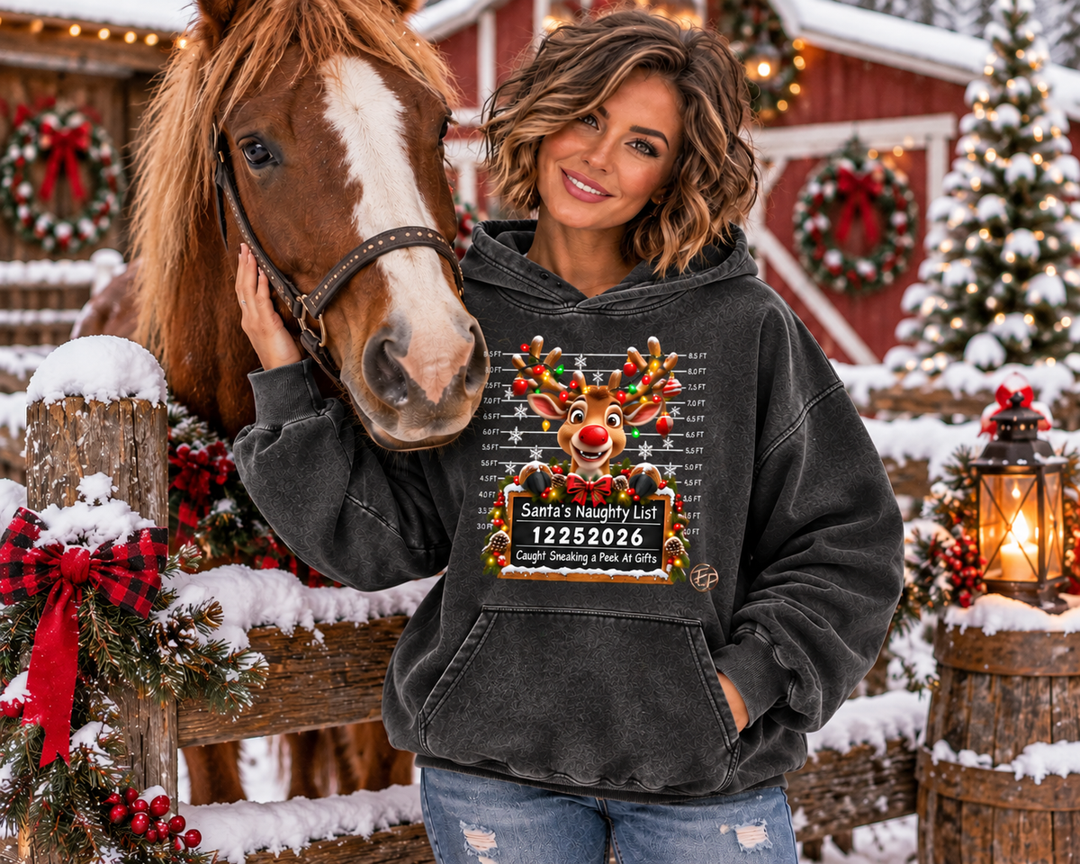 hoodie,hoodies,christmas