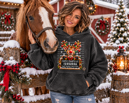 hoodie,hoodies,christmas