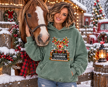 hoodie,hoodies,christmas